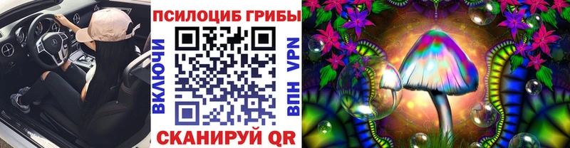 Псилоцибиновые грибы прущие грибы  блэк спрут ссылки  Новый Оскол 